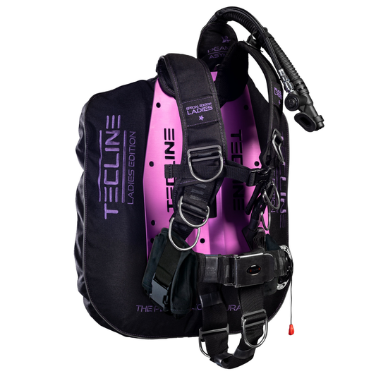Vesta BCD Wing Peanut 21 Lady Set
