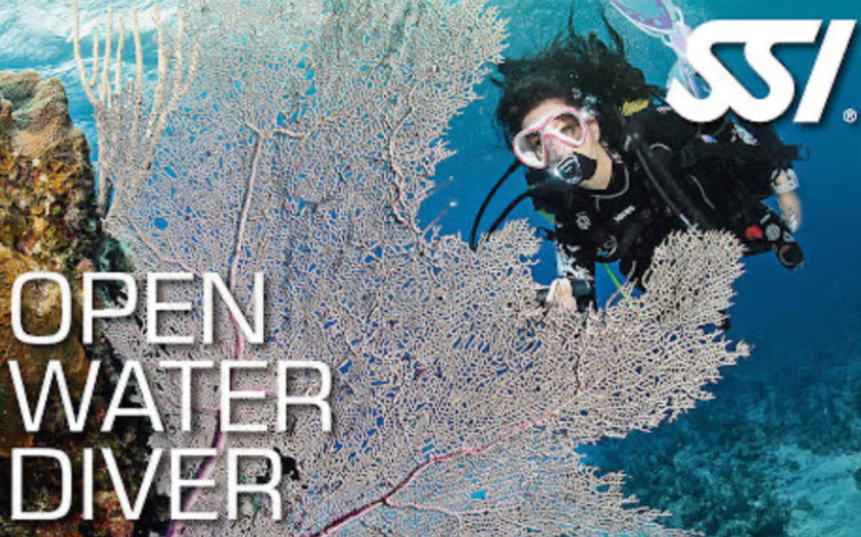 OPEN WATER DIVER CURS DE SCUFUNDARI BUCURESTI