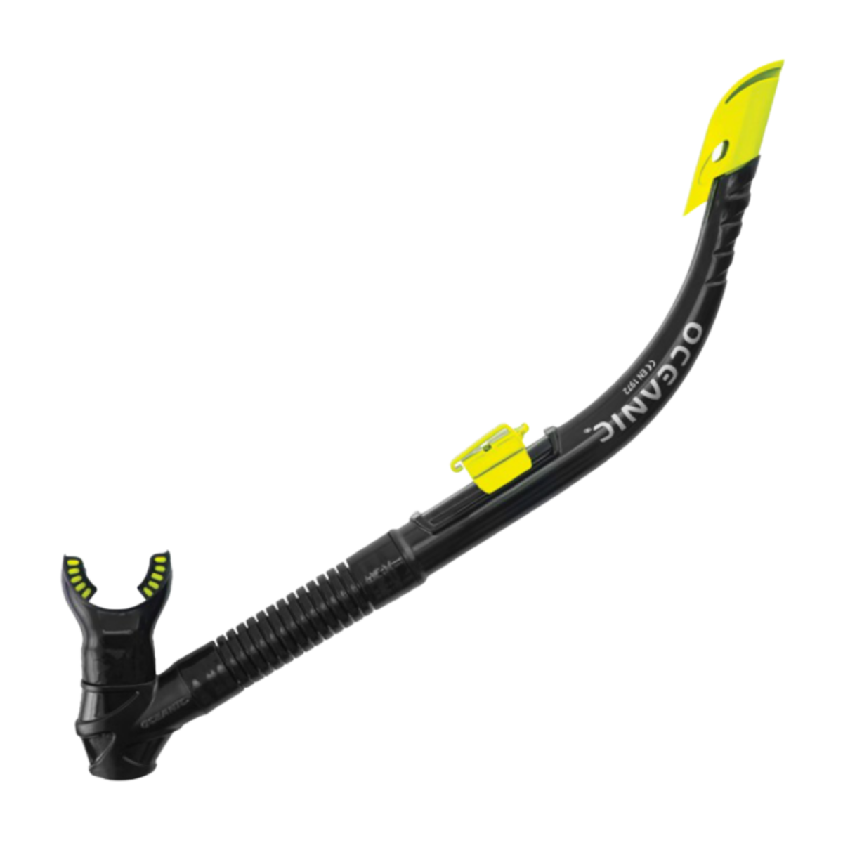 Snorkel Arid