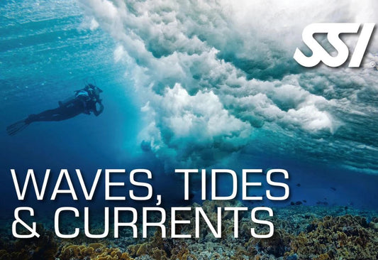 Waves, Tides & Currents