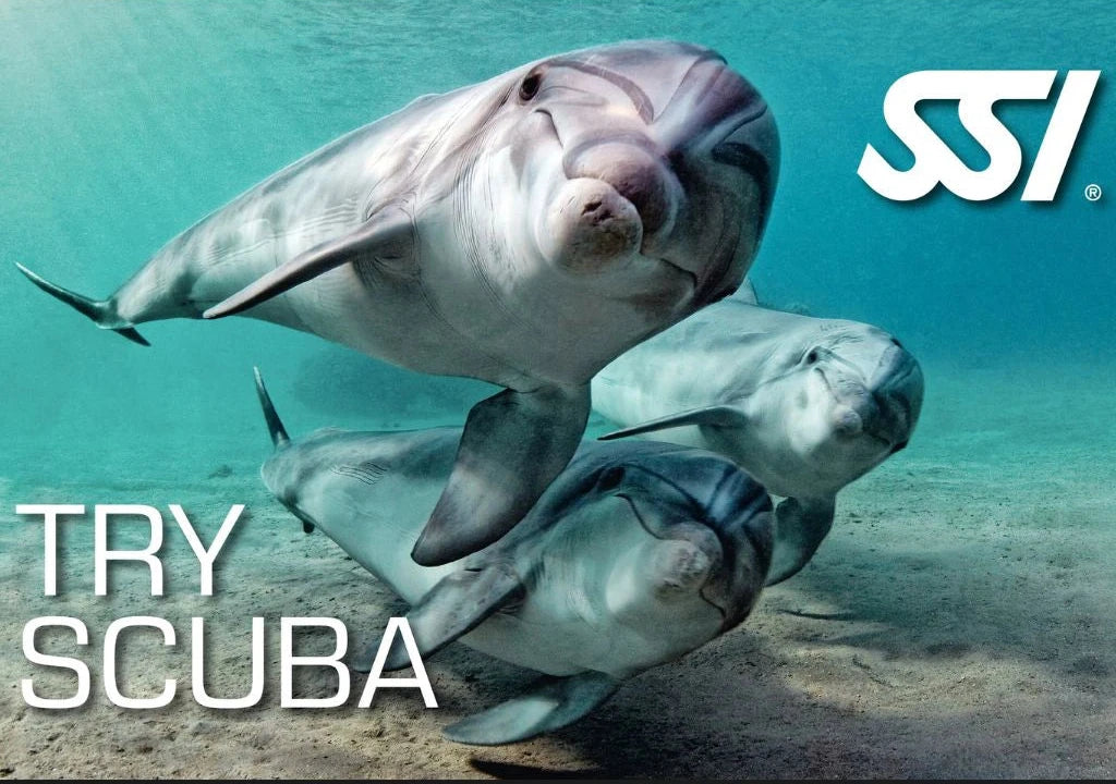 Try Scuba-prima experiența de scufundare