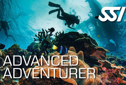 Advanced Adventurer