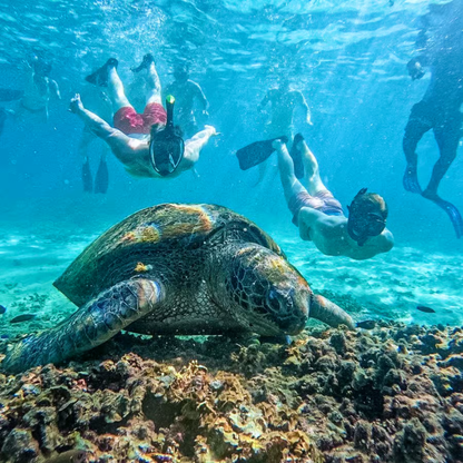 Thailand – Koh Tao | 23 Mar – 03 Apr 2026