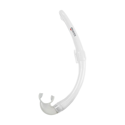Snorkel @