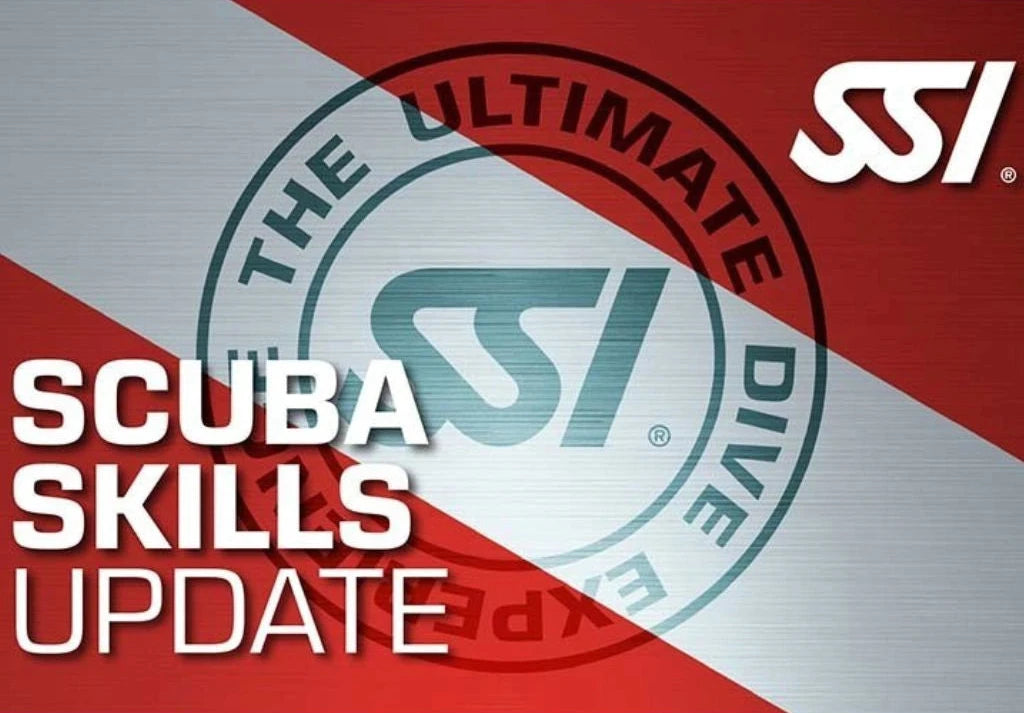Scuba Skills Update / Review