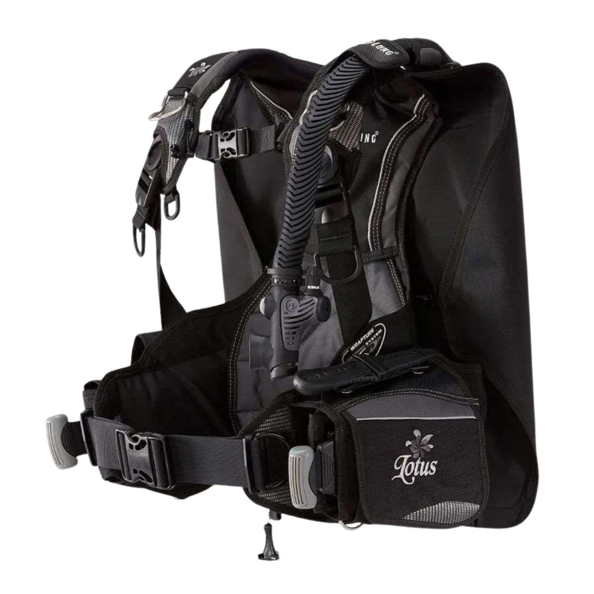 Vesta BCD Lotus