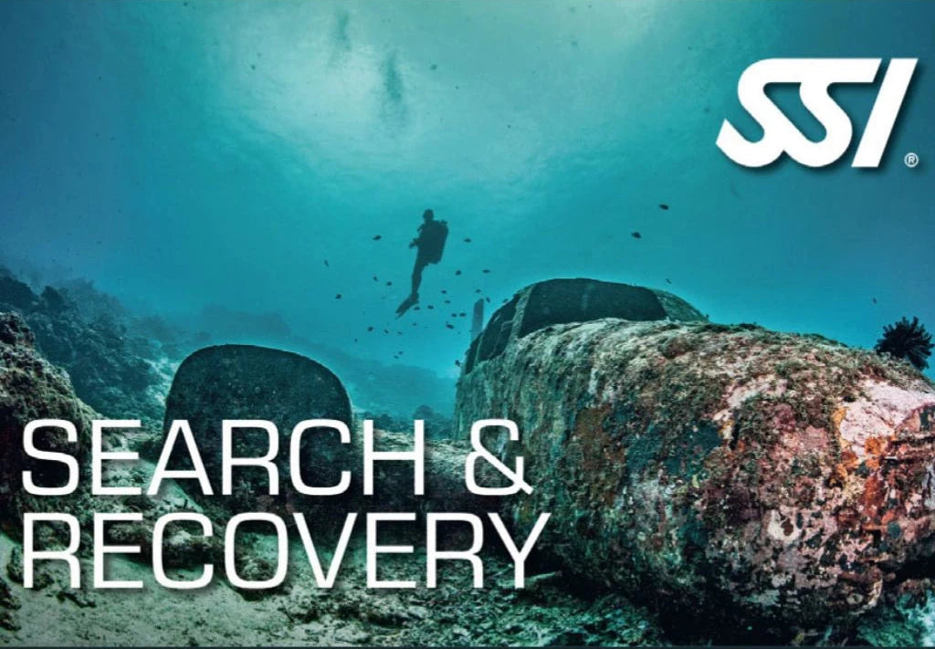 Search &  Recovery
