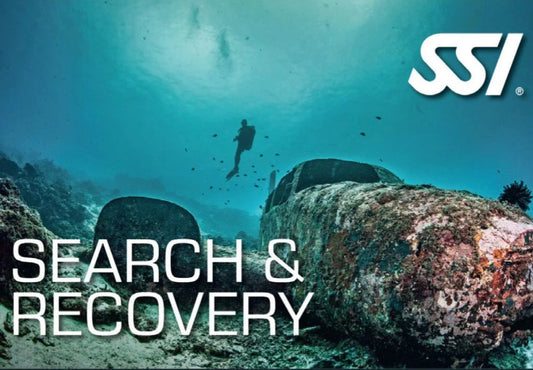 Search &  Recovery