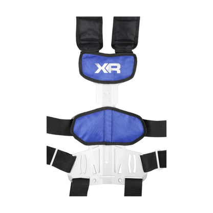 BCD XR-Rec Trim Einzel-Rückwandmontage-Set 