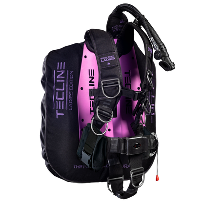Vesta BCD Wing Peanut 21 Lady Set
