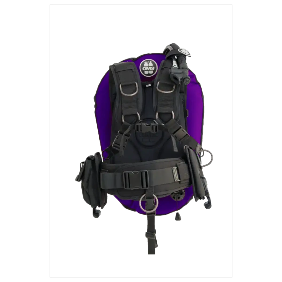 Vesta BCD IQ Signature