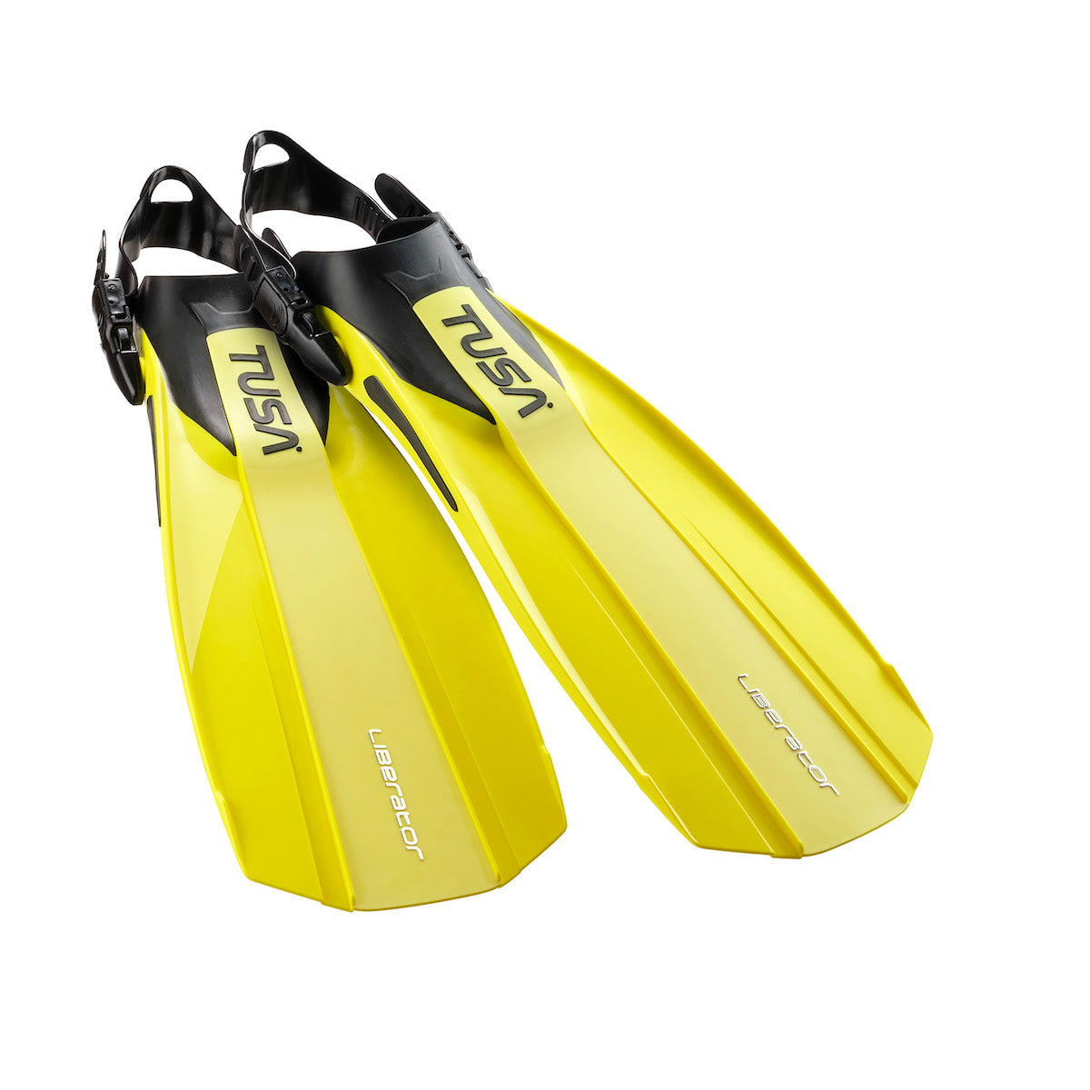 LIBERATOR Anfängerpfoten