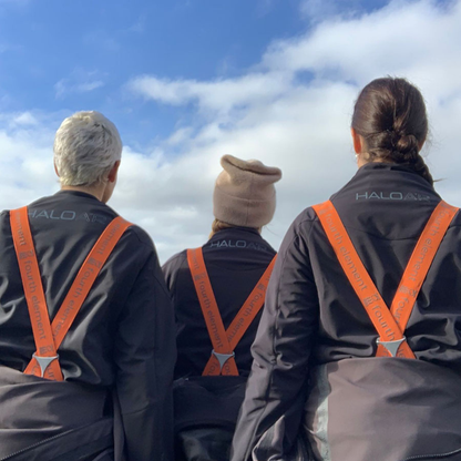 Halo A°R Basisschicht