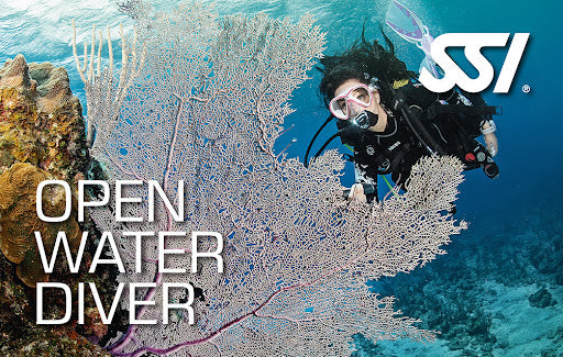 Open Water Diver SSI