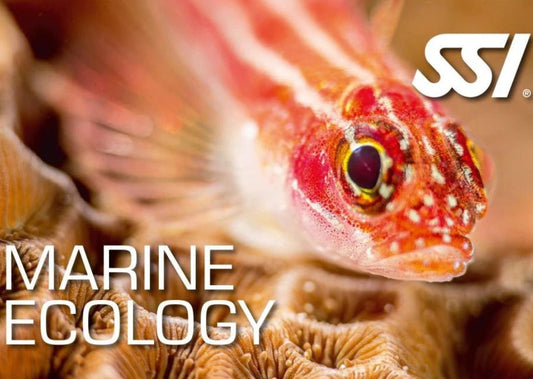 Marine Ecology